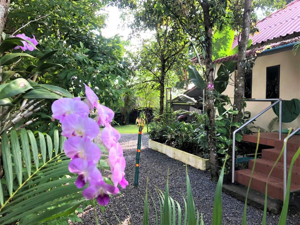 Green Mango Bungalows Kampot Exteriör bild