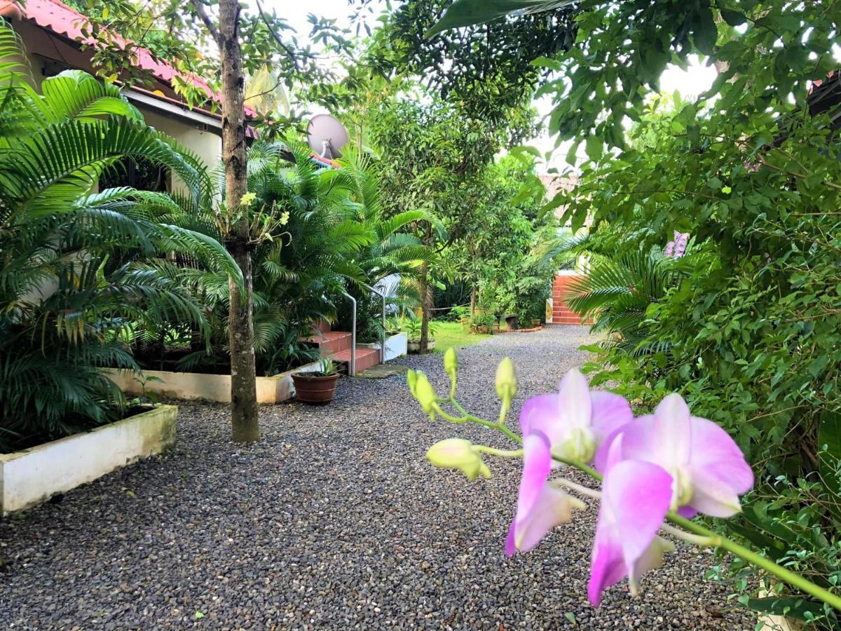 Green Mango Bungalows Kampot Exteriör bild