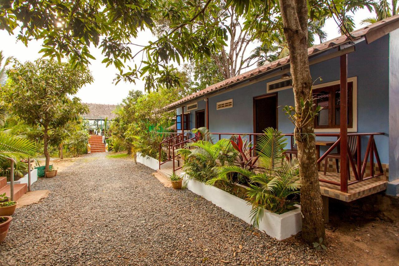 Green Mango Bungalows Kampot Exteriör bild