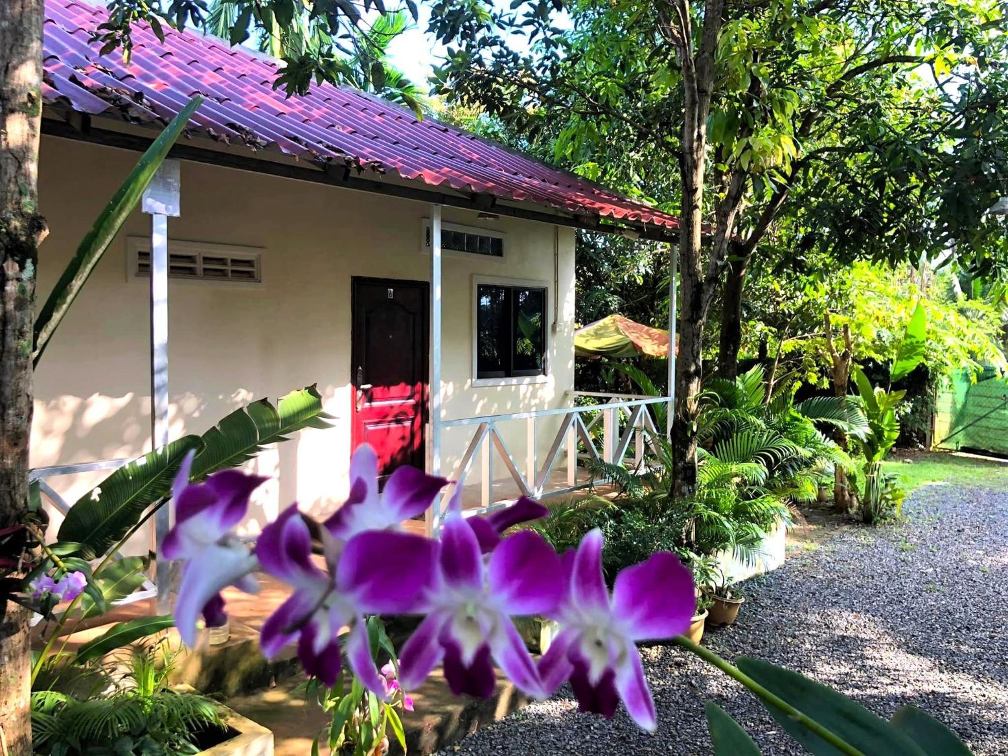 Green Mango Bungalows Kampot Exteriör bild